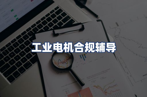 工业电机合规辅导
